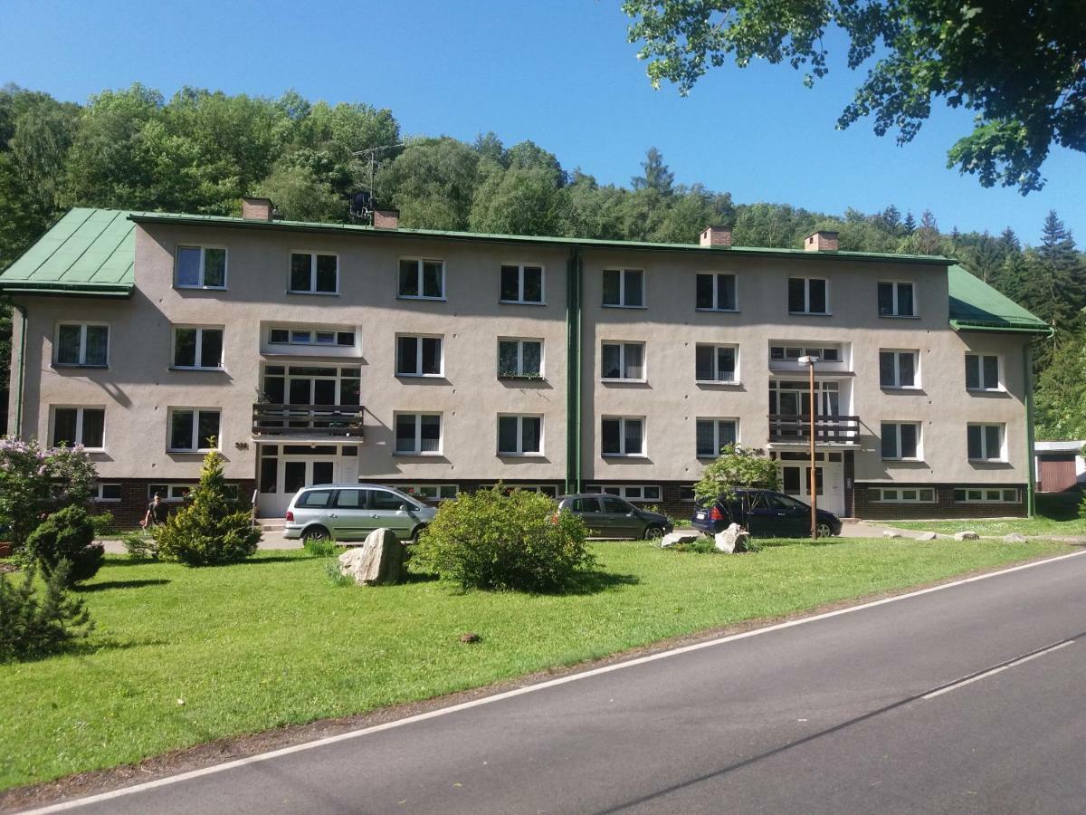 Appartement Julie 1 à Svoboda nad Úpou Extérieur photo